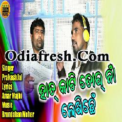 Prakash jal 2024 odia video song